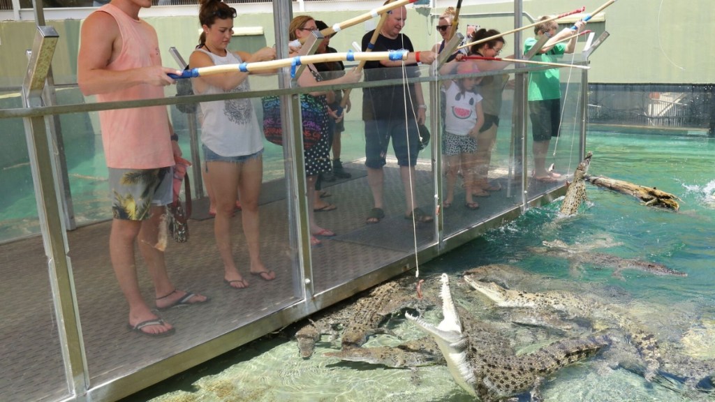 Fishing crocodiles