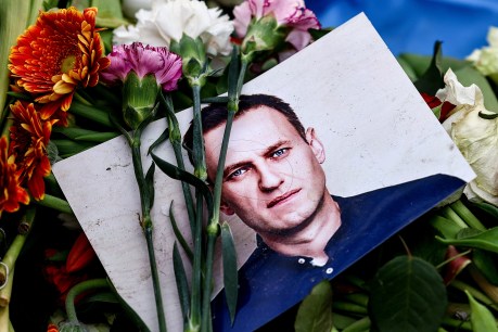 US finds no Putin smoking gun in Navalny death