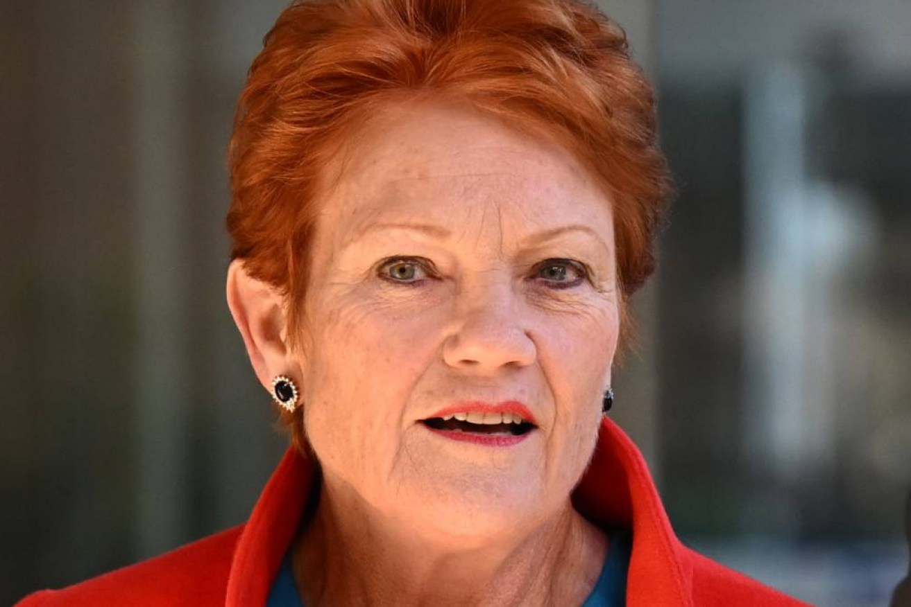 Senator Mehreen Faruqi will allege Senator Pauline Hanson engaged in racial discrimination.