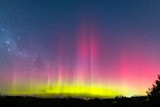 Top videos: Nature's light show and star dog