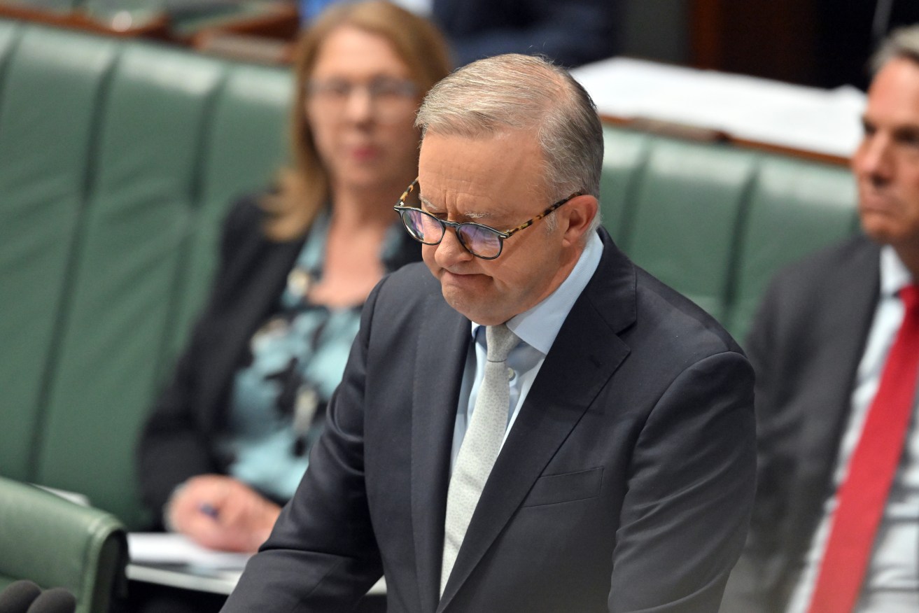 Anthony Albanese will warn against the uncertainty caused by the opposition's nuclear ambitions.