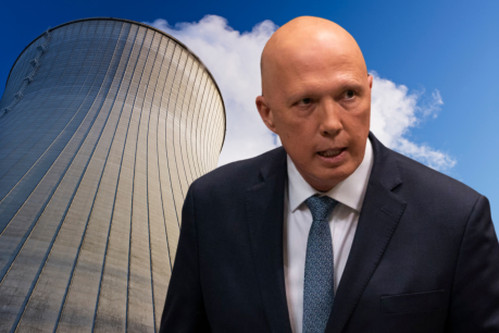 Dutton’s climate target dumping a ‘disaster’
