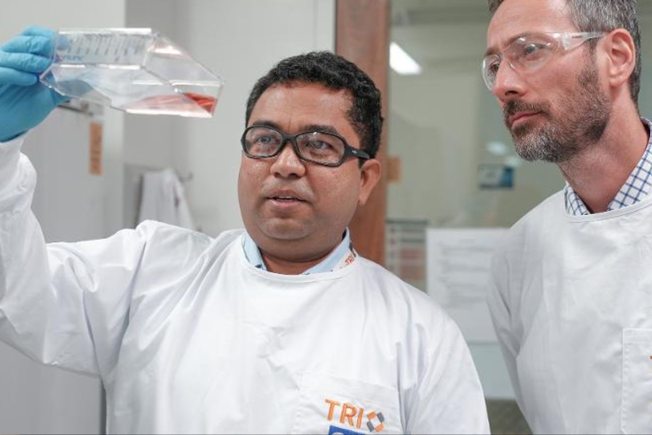 Australian researchers will examine new approaches to slow or stop the progression of Parkinson's.