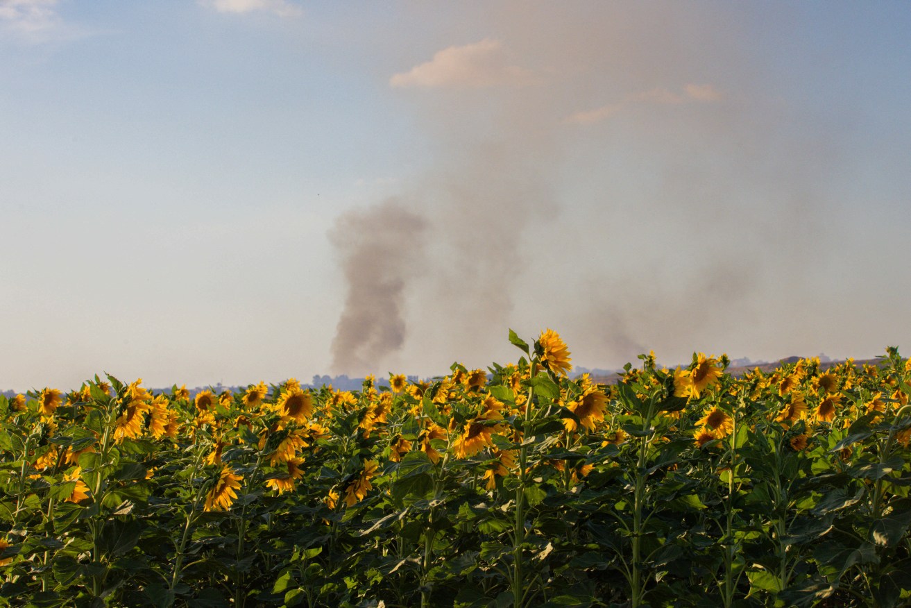 Smoke rises from a fire burning as seen from Israel near the border while military operations continue in the Gaza Strip on May 30, 2024.