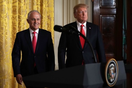 Turnbull unleashes on ‘narcissistic’ Trump