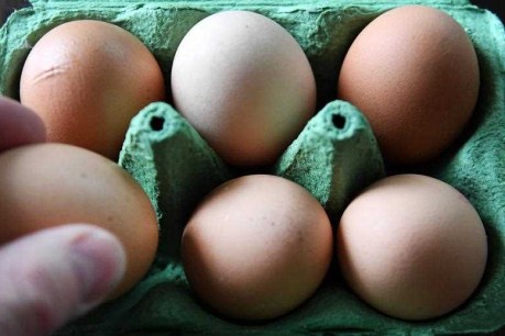 Coles 'sending wrong message' with egg limits