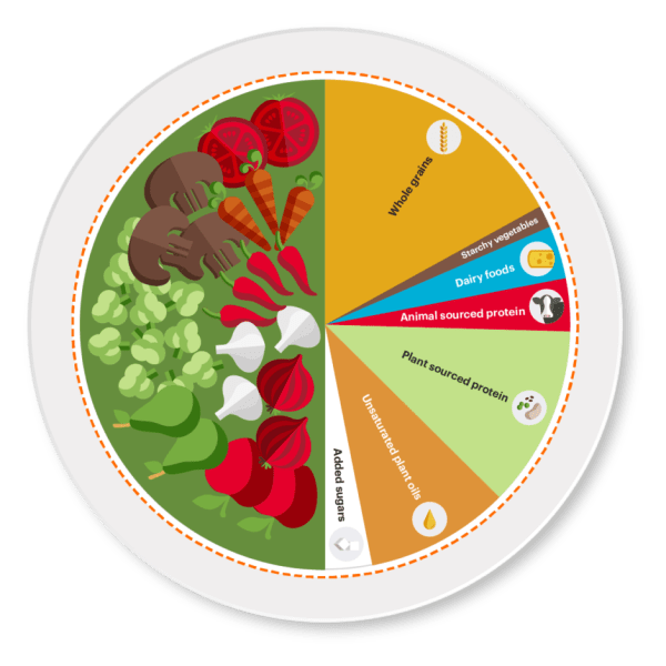 planetary diet