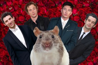 ‘Hot Rodent Men’ are what some women want