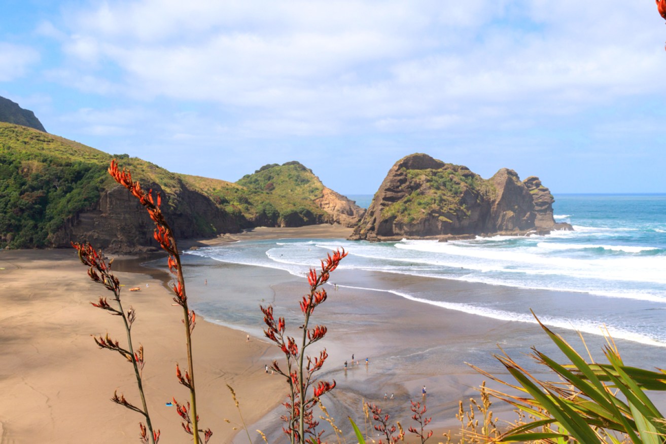 Piha Beach has been dubbed the best in the world, according to a leading travel agency.