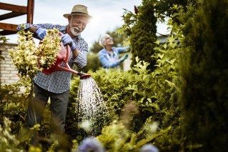 Lower cancer risks a byproduct of gardening 