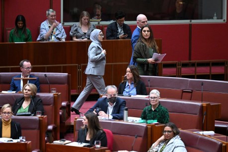 Senator faces expulsion after crossing floor 
