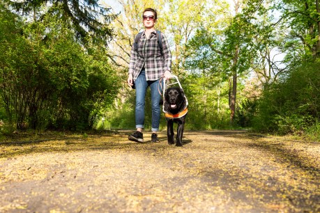 Blindness risk with Ozempic – US scientists