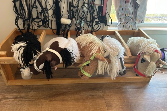 hobby horse