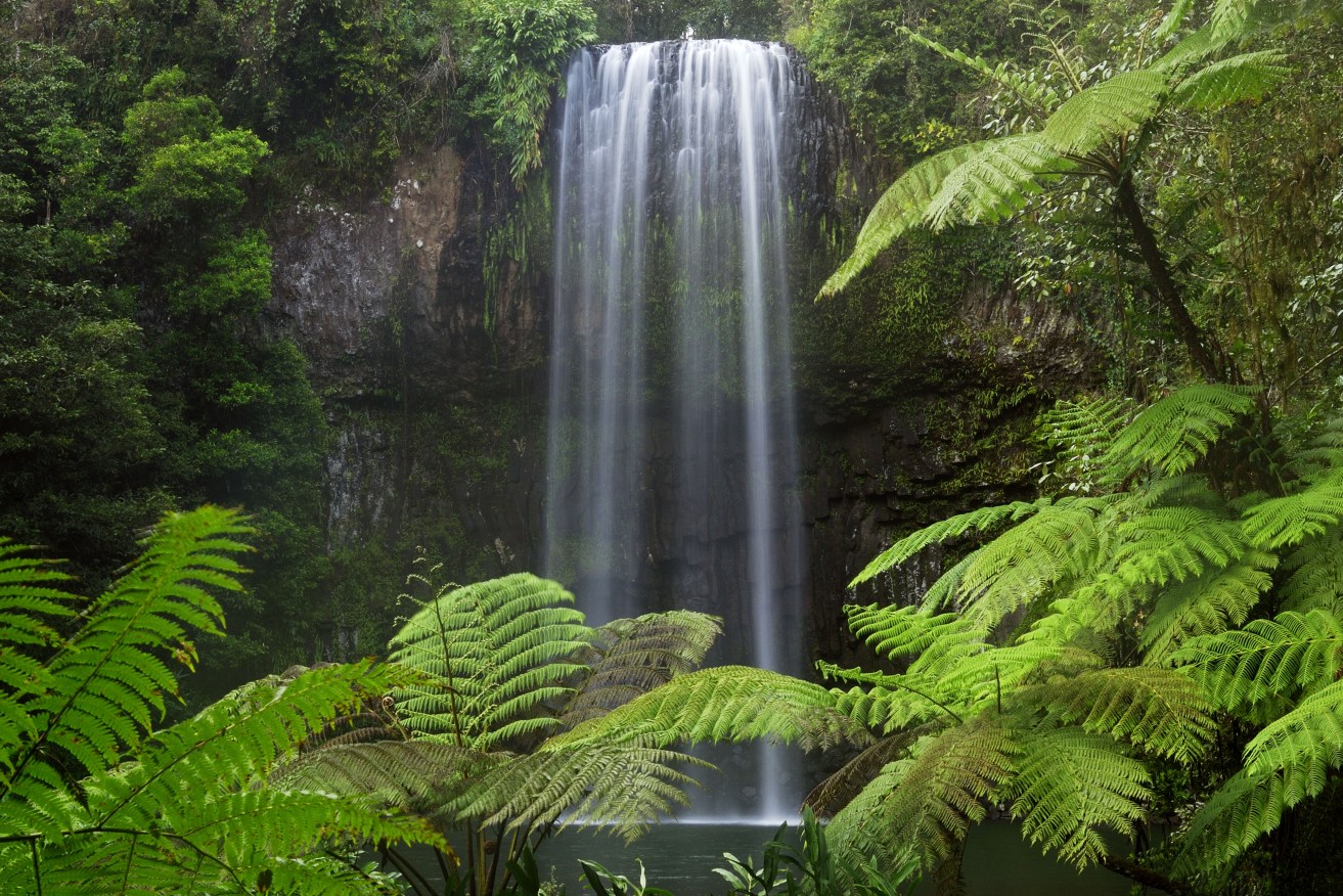 Tributes are flowing for two Indian students whose bodies were recovered at Millaa Millaa Falls.