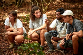 Go a little bit wild on a Sri Lankan safari