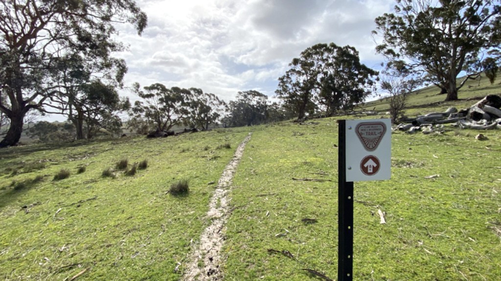 clare valley wine trail