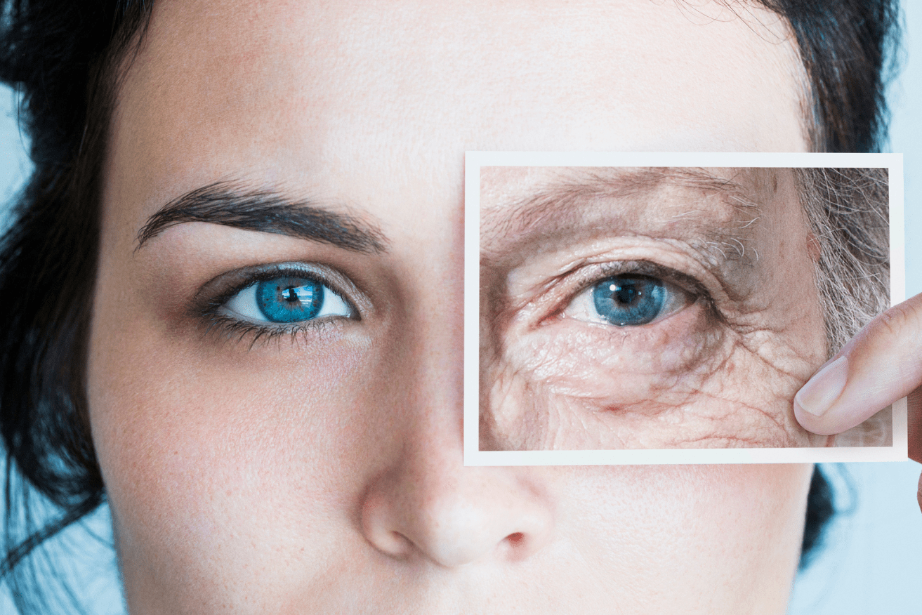 While anti-ageing efficacy still needs to be robustly established for humans, the results on mice are promising.