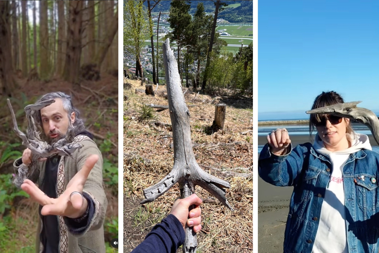 There is finally an invested audience for slightly-interesting sticks you might find on a walk.