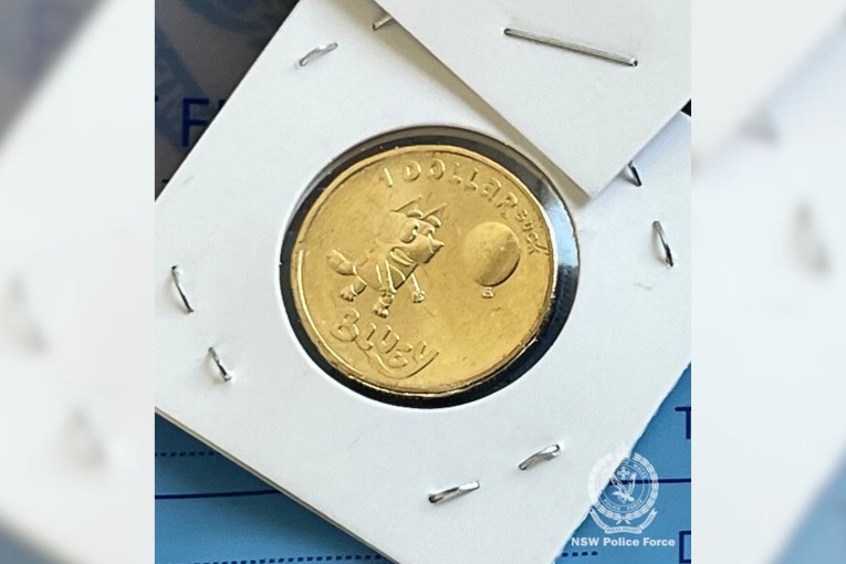 Bluey bandits wait to learn fate over coin theft