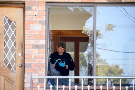 Shock details revealed in twin Sydney DV shootings