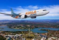 What Koala Airlines will need to survive