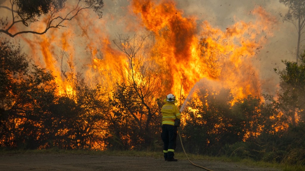 bushfires nsw