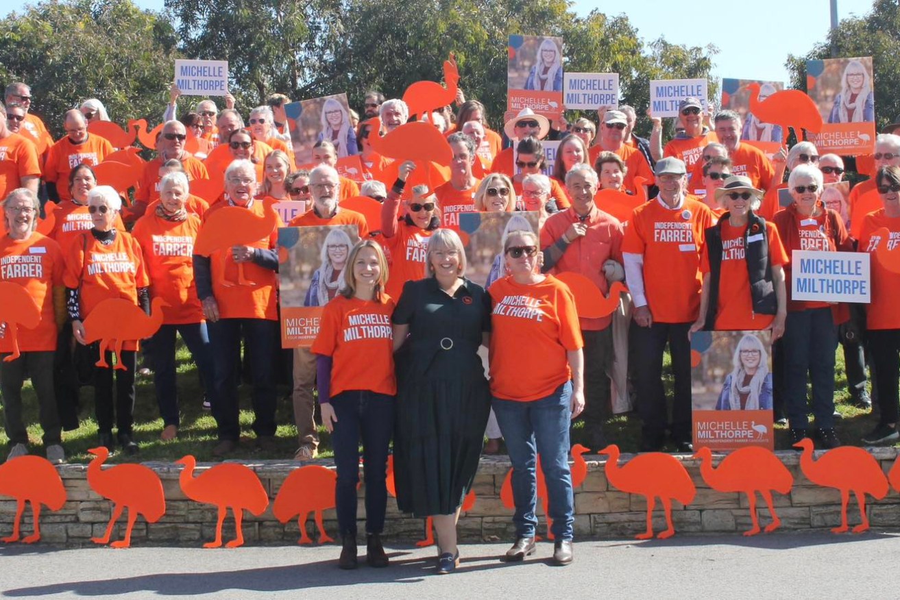 Michelle Milthorpe will contest the seat of Farrer at the next federal election.