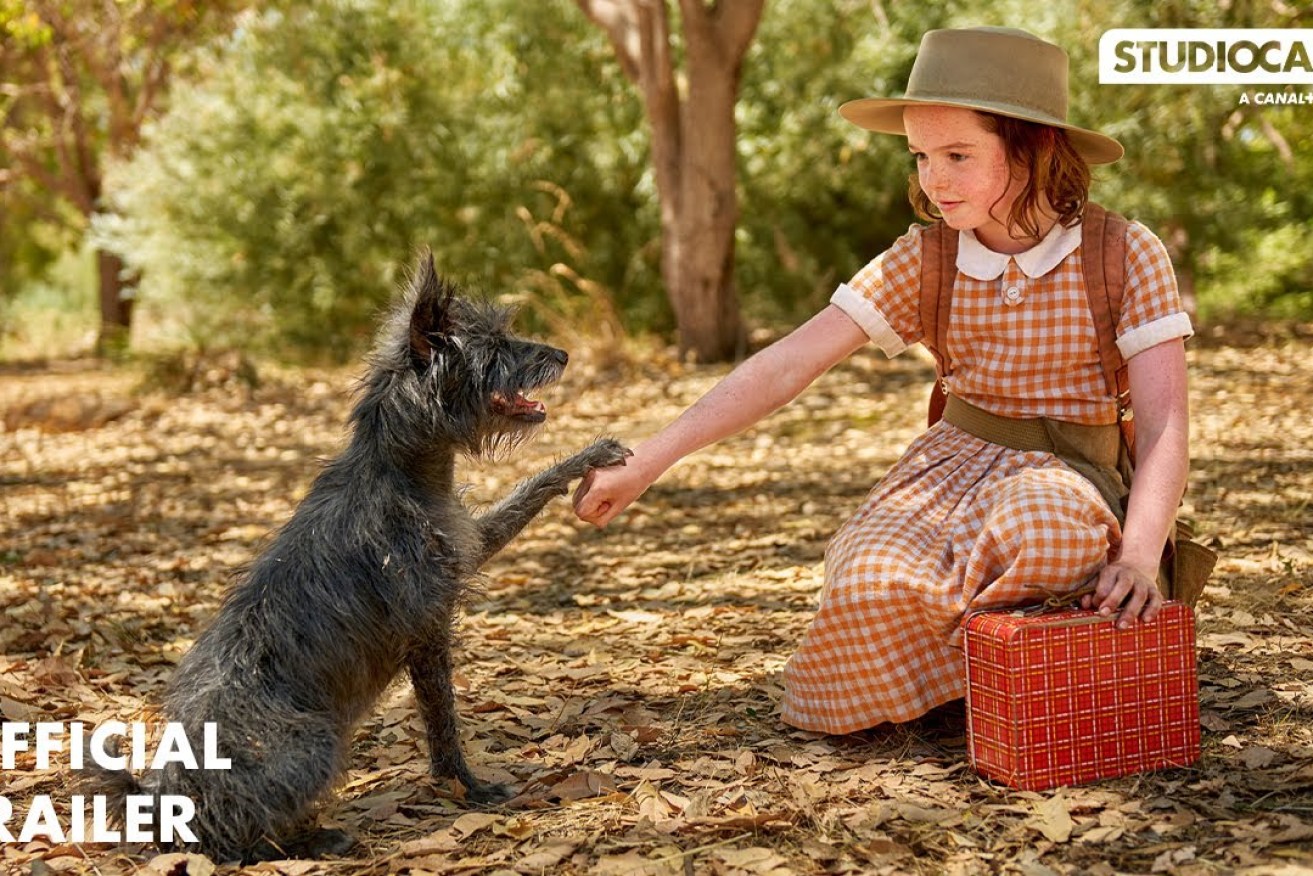 Runt and Annie become inseparable as they take on the world.