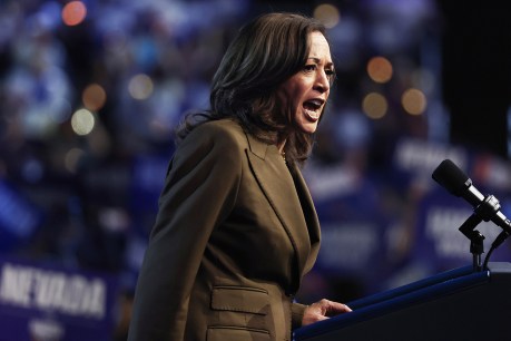 Kamala Harris woos Republican votes with help of Liz Cheney