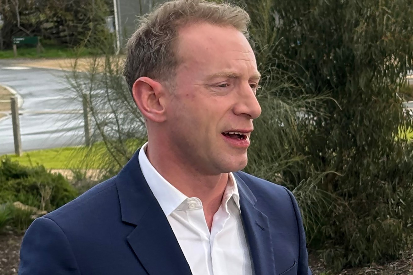 Former South Australian Liberal leader David Speirs has faced court on drug supply charges.