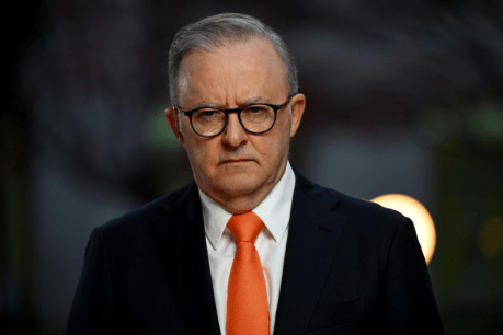 Failure to launch: Why the Albanese government is in trouble
