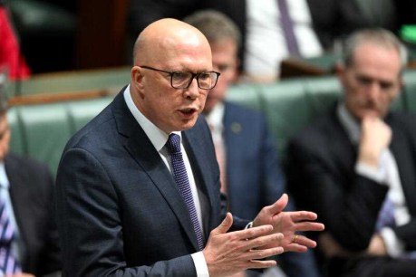 Dutton attacks Albanese on October 7 motion 