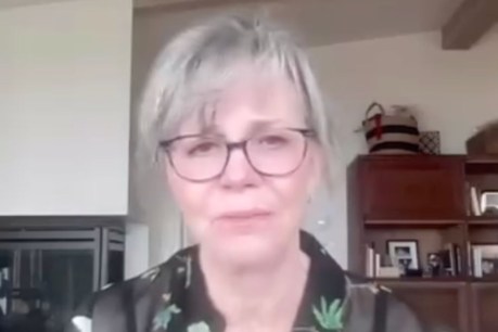 Actor reveals 'hideous' reason she's backing Harris