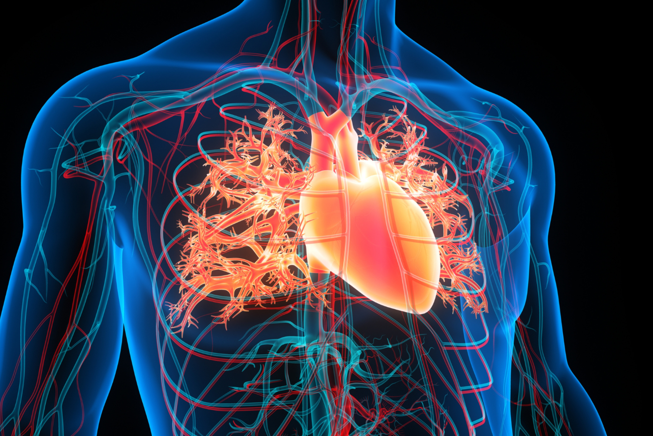 Heart disease is still Australia's biggest killer, but dementia will soon take over.