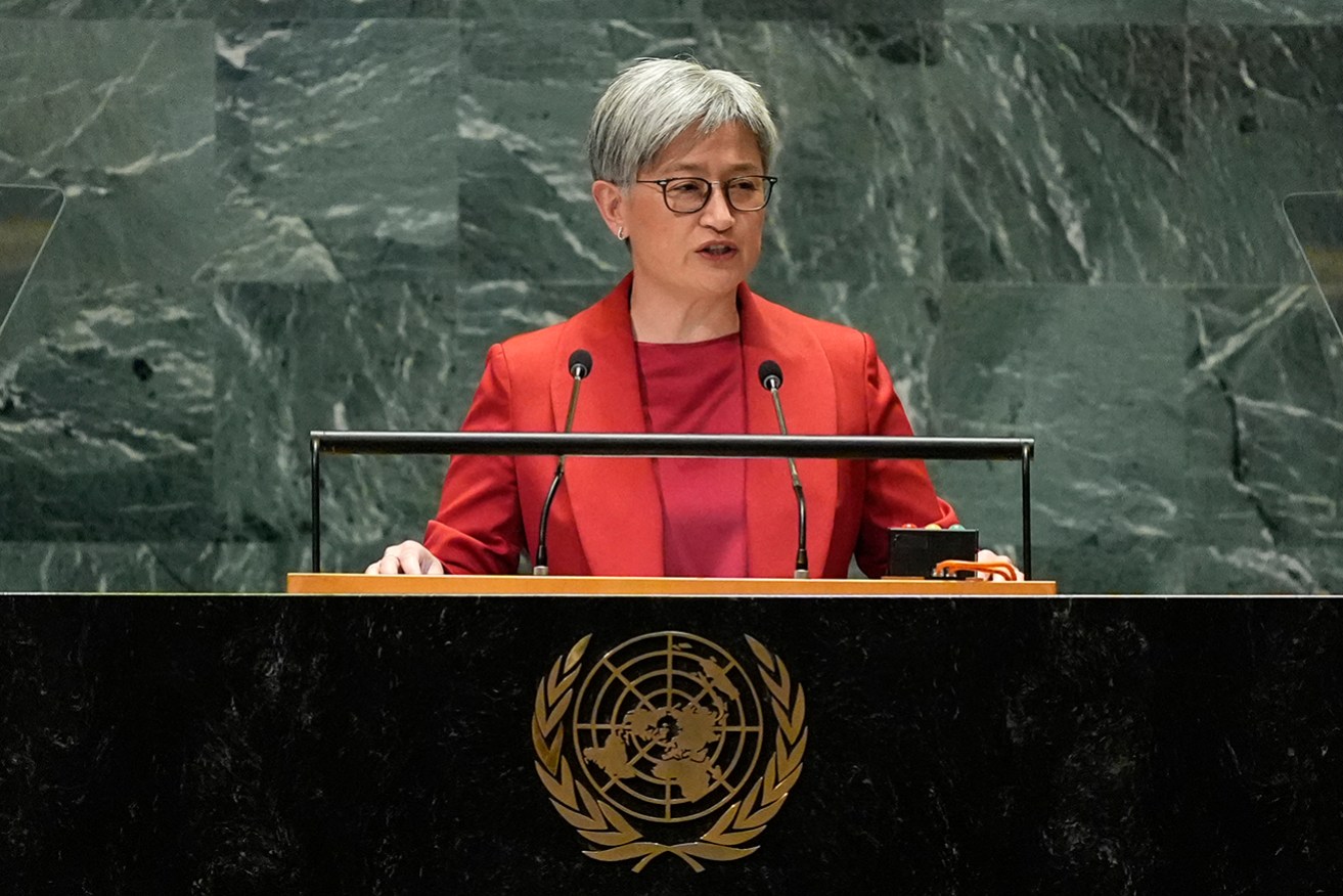 Penny Wong says the Liberals are at odds with the international community on a Gaza ceasefire.