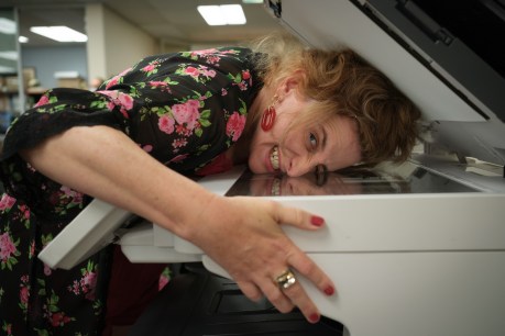 Felicity Ward puts it all on the line for <i>The Office</i>