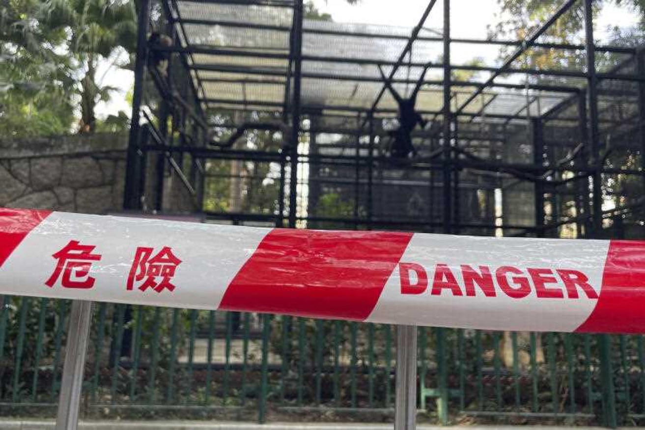 Authorities say monkey deaths at the Hong Kong Zoological and Botanical Gardens are a mystery.