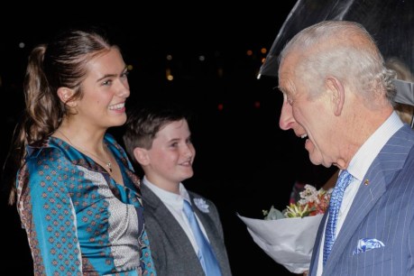 Boy gets royal wish after nicely-timed touchdown