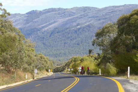Take a road trip along the Kosciuszko Alpine Way