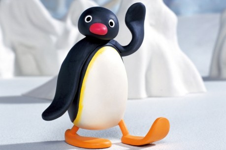Practise your ‘Penguinese’ – <i>Pingu</i> is coming back