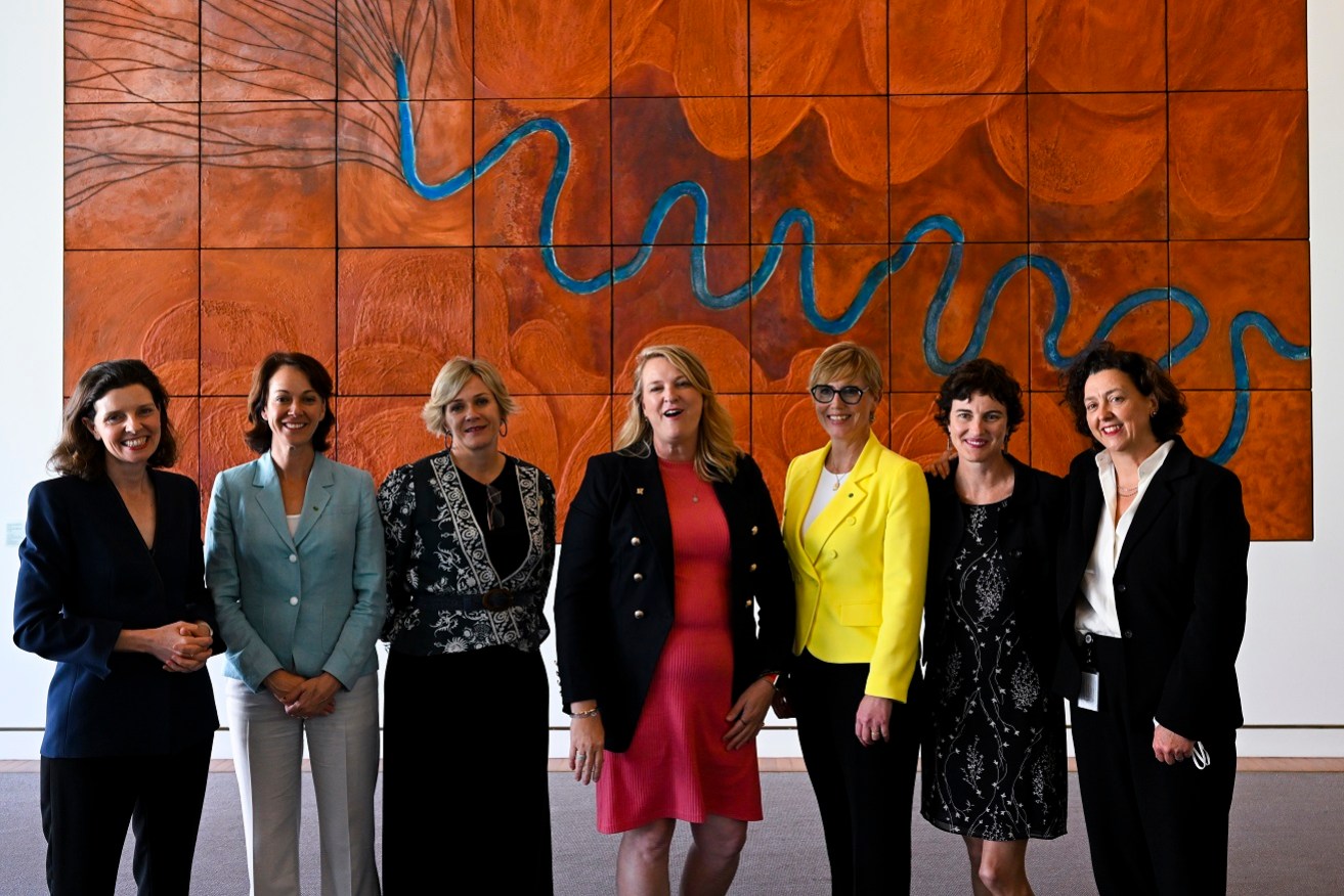 The Liberal Party has launched a new campaign against the teal independents, accusing them of being Greens in disguise.