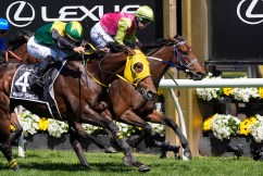 Knight’s Choice wins the 2024 Melbourne Cup