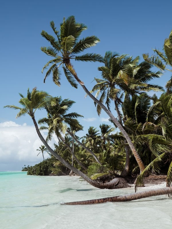 Cocos