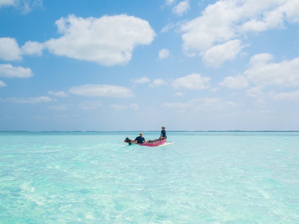 Cocos