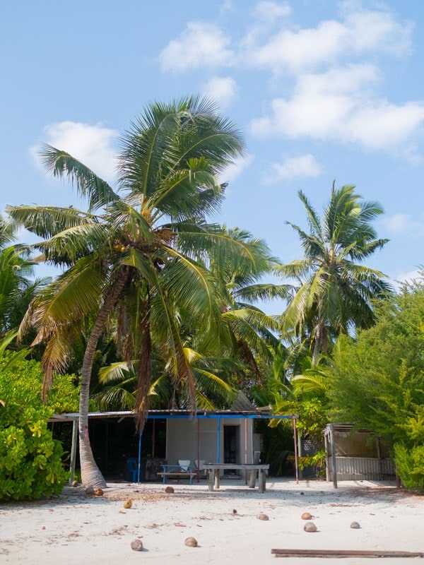 Cocos