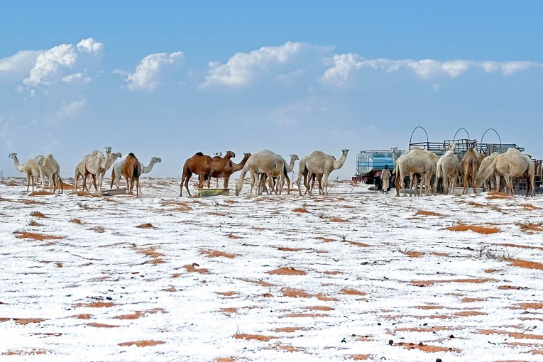 Desert turns white as 'first snow in history' falls