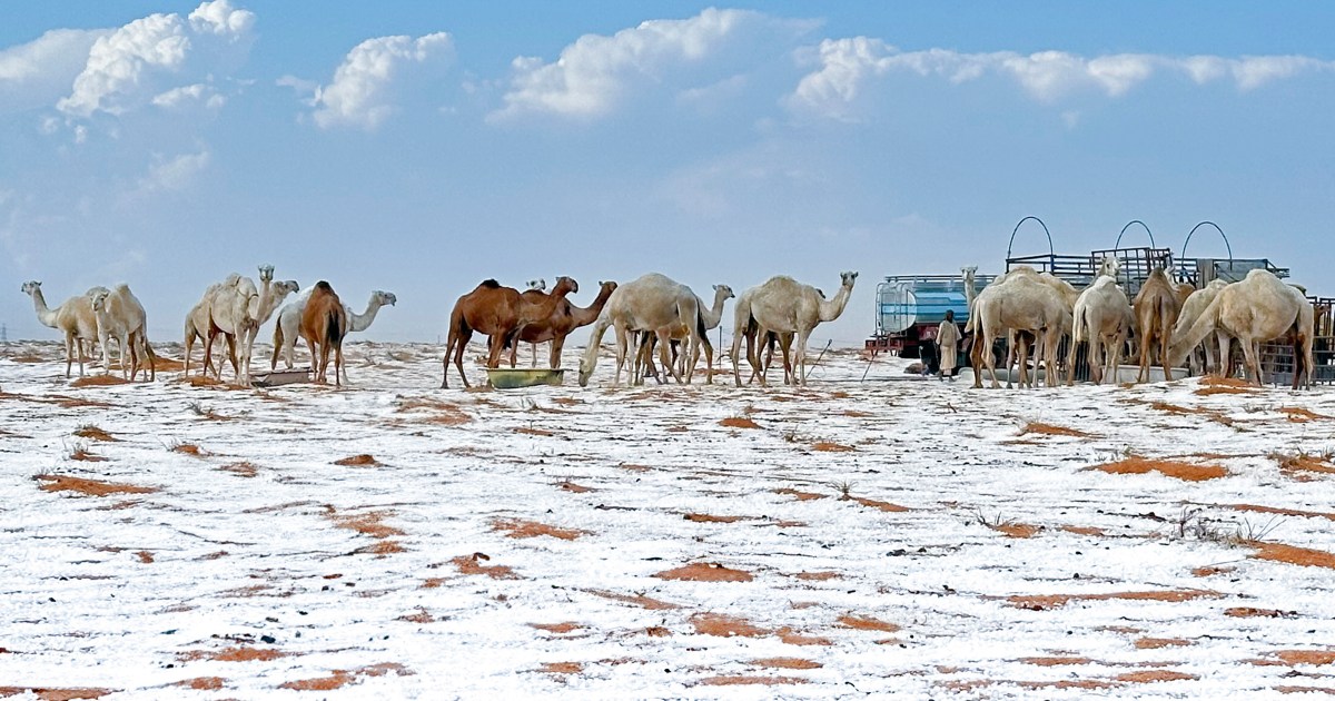 Desert turns white as 'first snow in history' falls