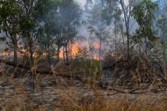 Qld country town of Forsayth in line of fire