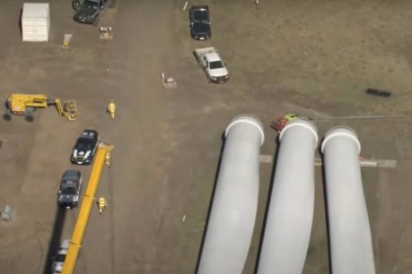 Wind turbine death sparks claims of languishing law