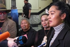 Powerful parliamentary protest erupts into chaos
